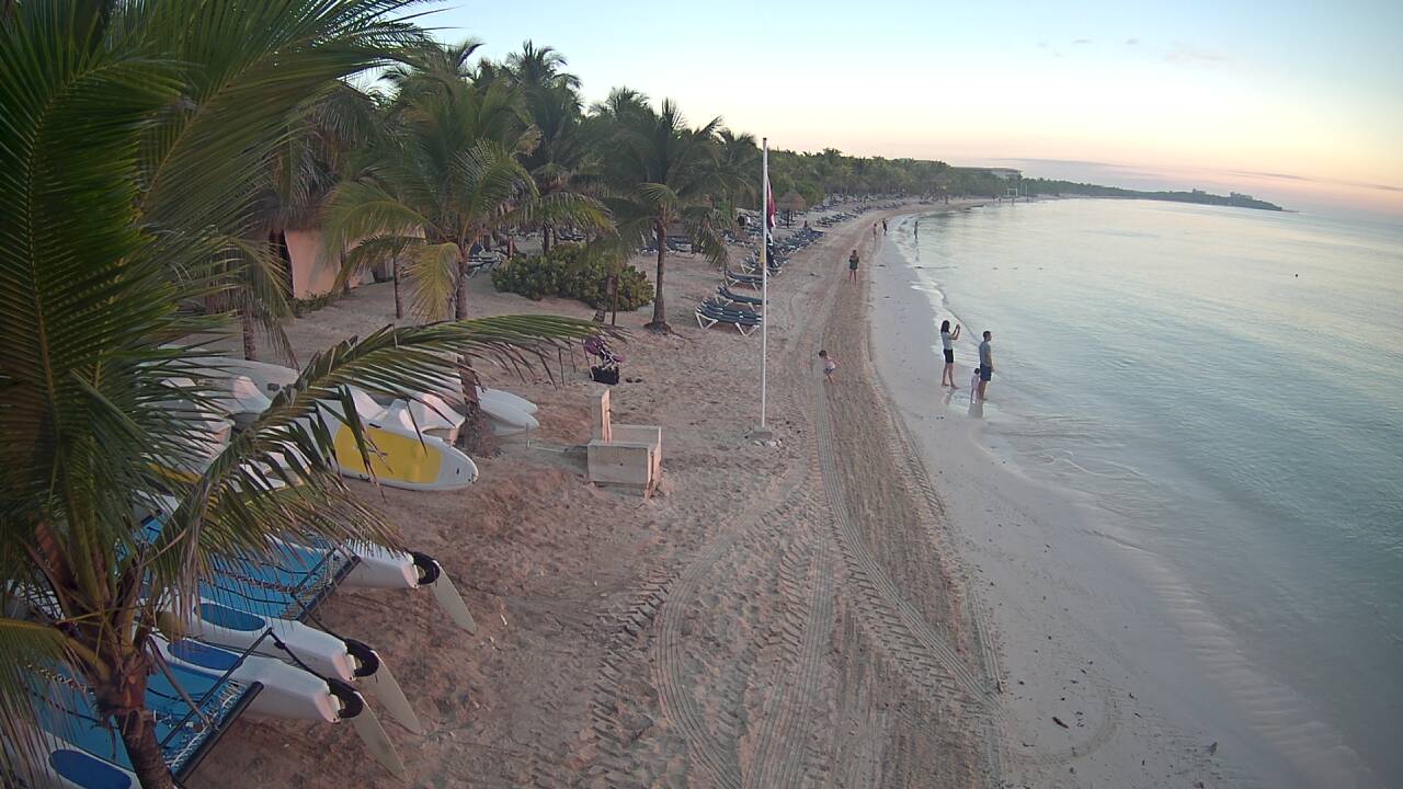 Algas en las playas de Riviera Maya (Sargazo) - Foro Riviera Maya y Caribe Mexicano