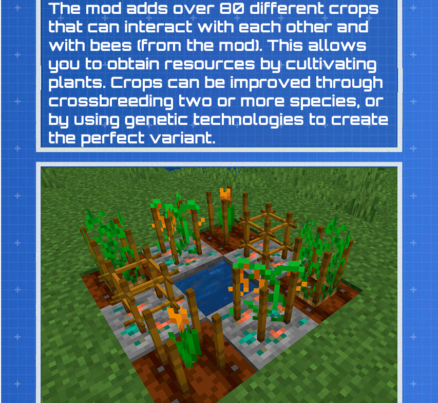 Colony system
