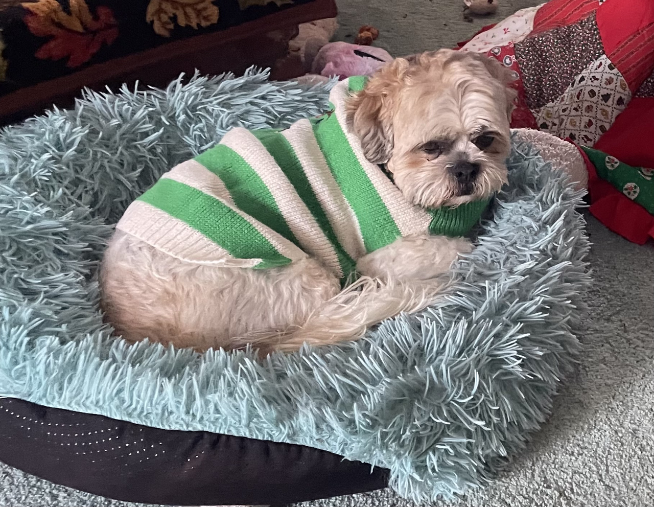 6FEC5D1F-A924-4461-9091-979EFB9F8F89-1-201-a