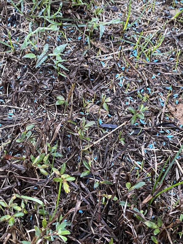 142C2D39-A15B-4B0E-92F3-A8DDCADFCA1B