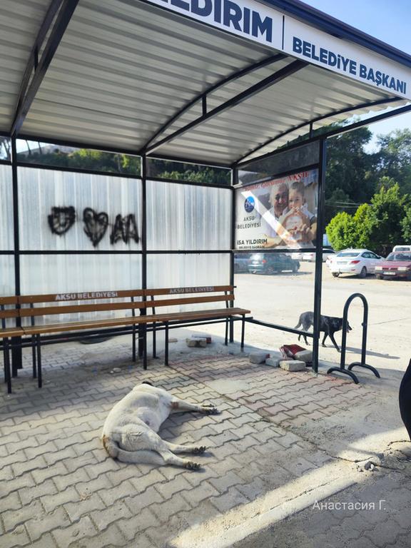 От Антальи на восток (до Мардина и Диярбакыра) + Анкара, ноябрь 2025.