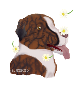 Sir-Froggington-Comm.png