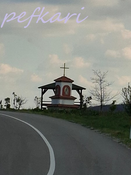 Slika
