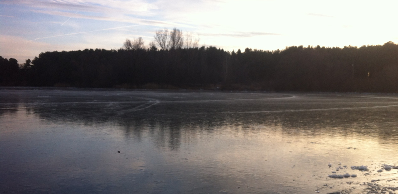 IMG-4120.jpg
