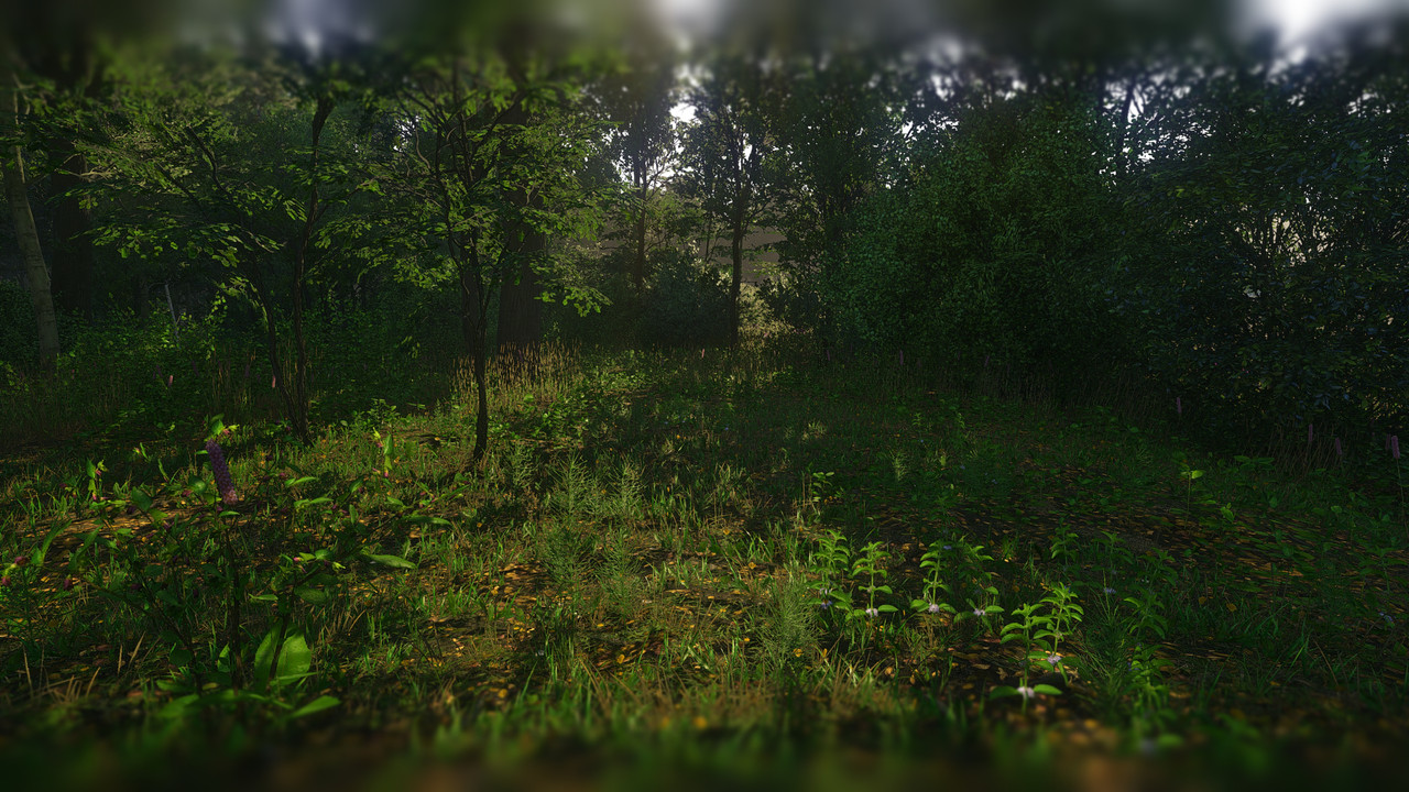 Kingdom Come  Deliverance Screenshot 2018.10.06 - 18.25.31.35