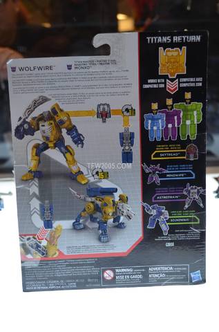 Botcon-201600043-3