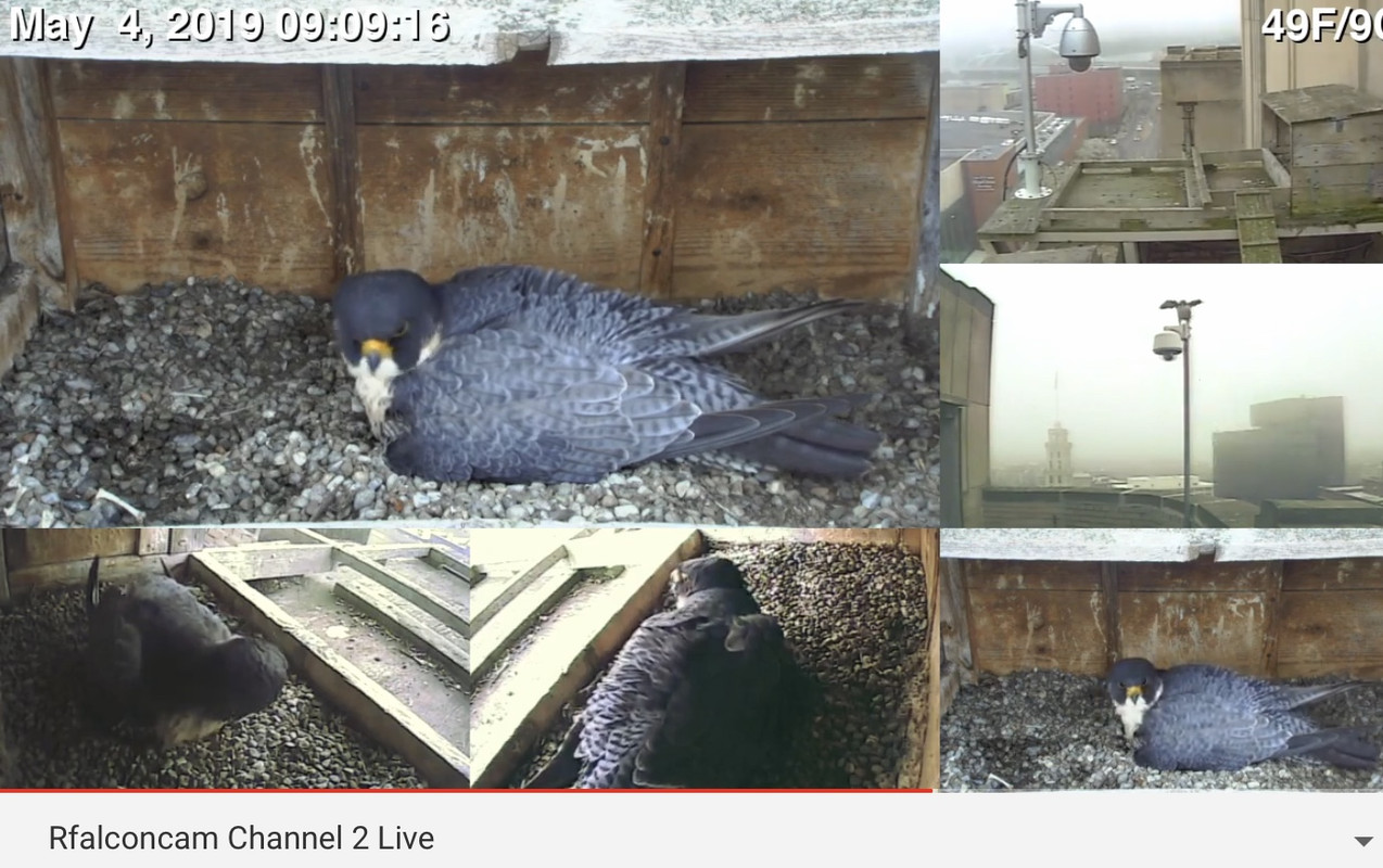 6D6E53A2-6CFC-4334-B1D5-163F45D96C9E