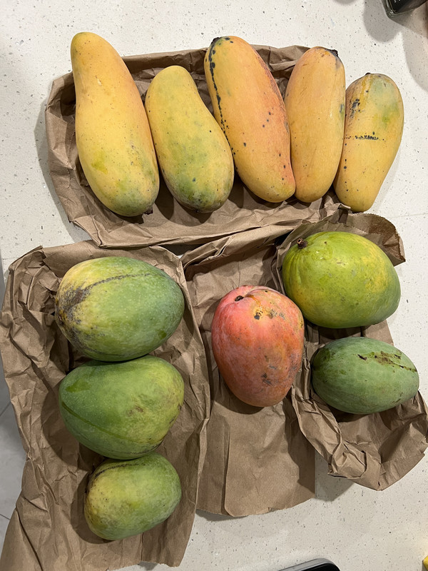 BBC4CAC5-0A5A-46EE-BC97-77A05726CFB5