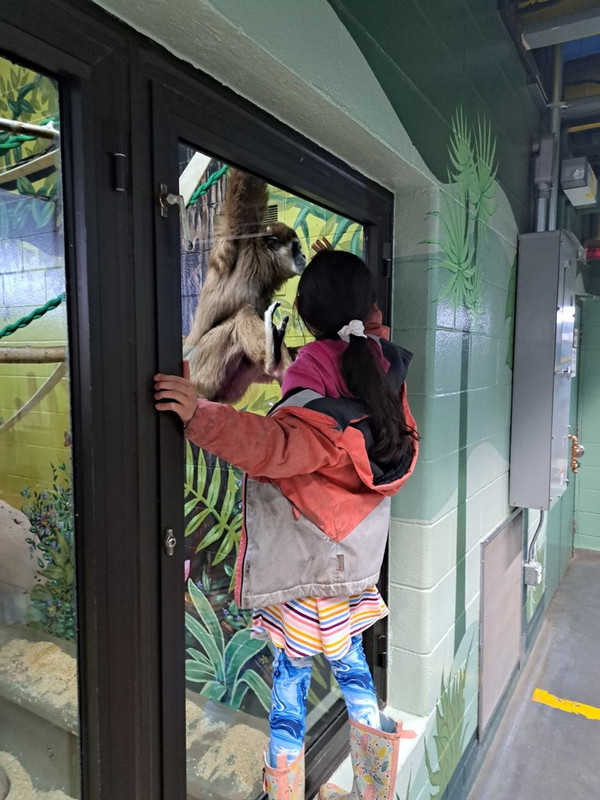 4143740075657072824 (1)