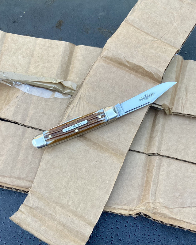 41B26426-882B-48D2-82B7-4733979E6809_1_201_a