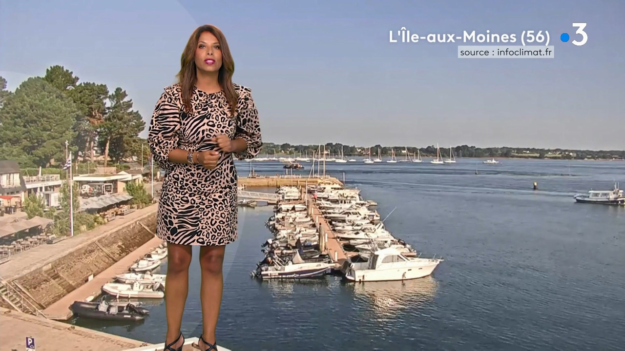 2021-07-22_11_30_Fr3_Meteo.mp4_snapshot_08.21.340