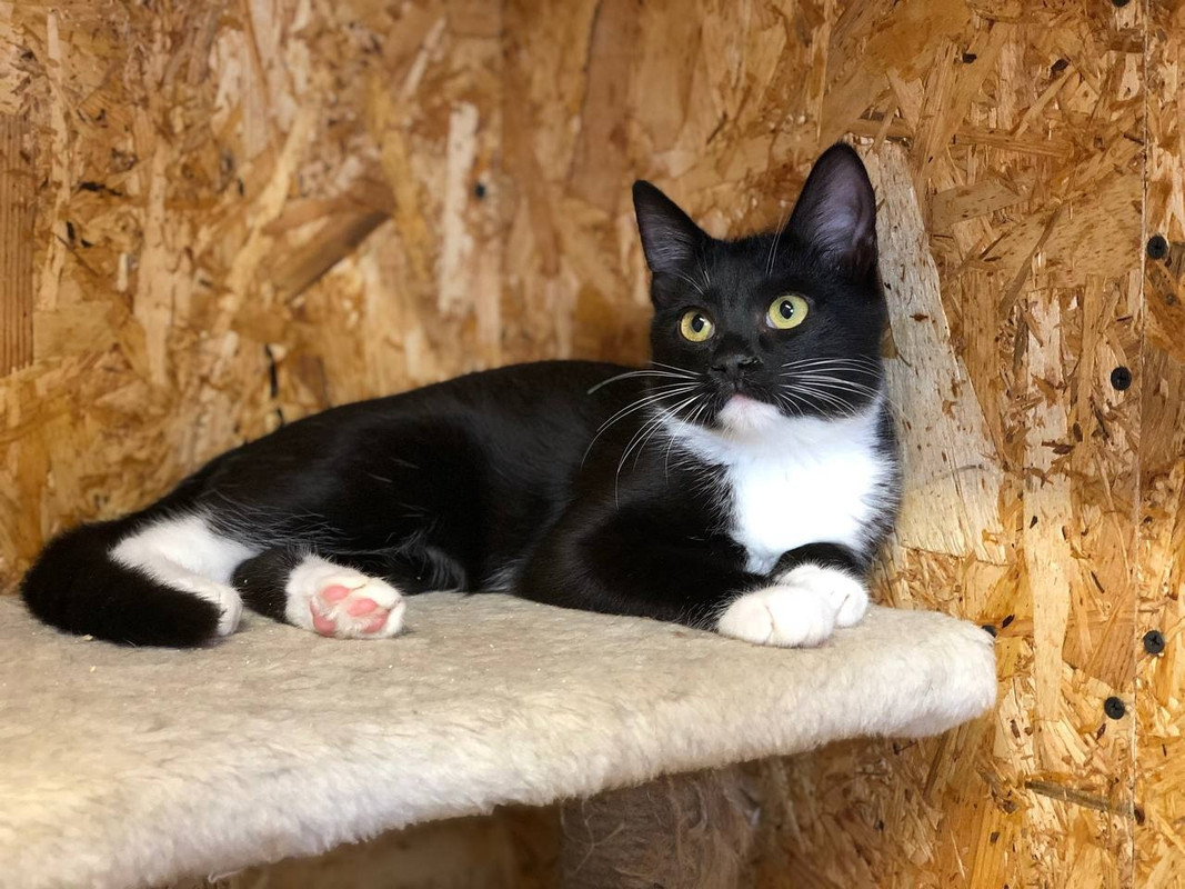 Дайнерис1111