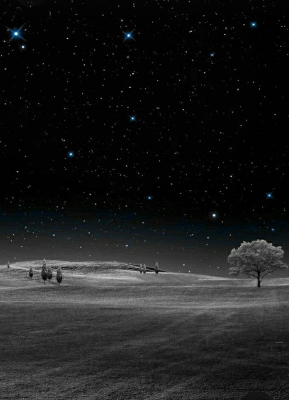 Screenshot_20230420_004257_Pinterest