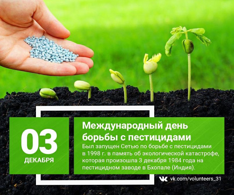 IMG_20231203_152329_313