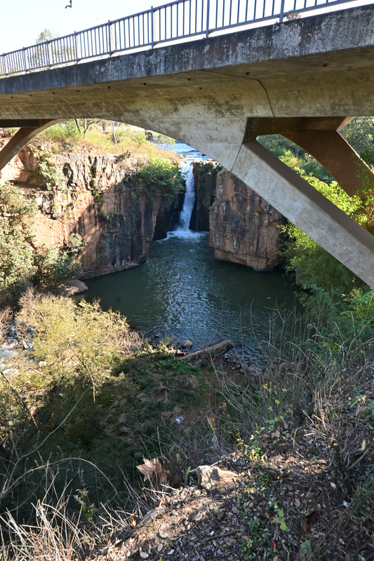 DSC 0565