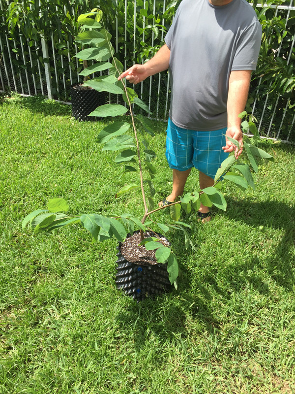 A9F0C3ED-B496-47C6-B14D-E370FC374000