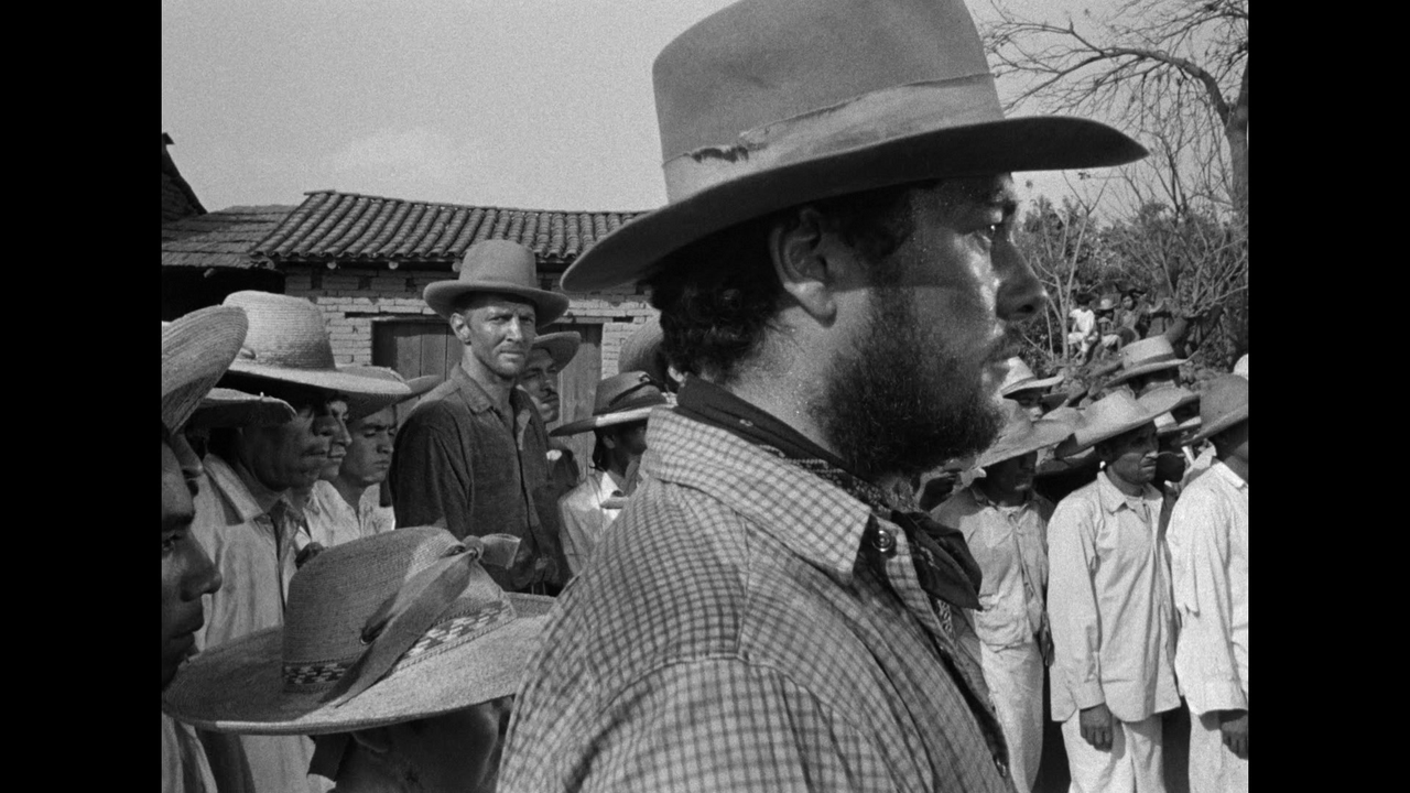 vlcsnap-2024-08-05-12h32m27s940