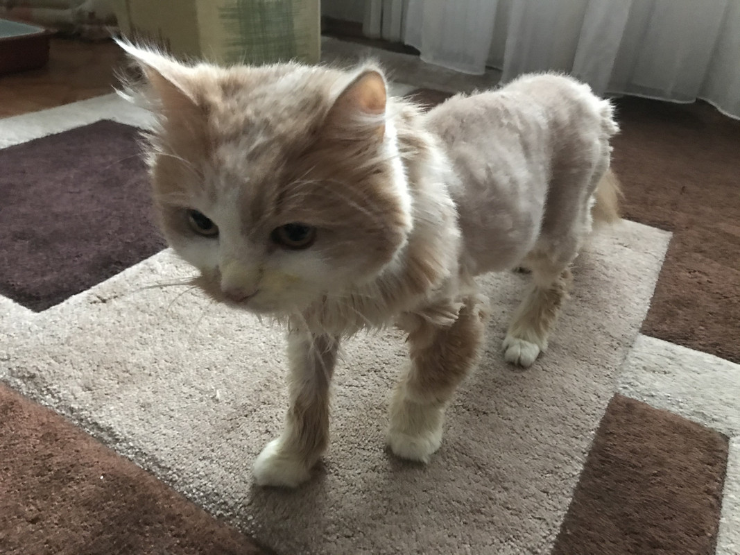 C96AA73B-16CE-4C17-9C51-60EC0E481597