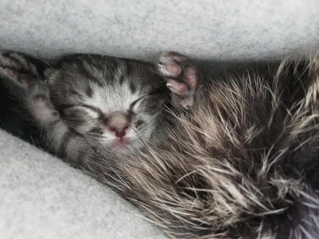 A38BB9D0-1FF4-47D9-B86D-9939BED6986B