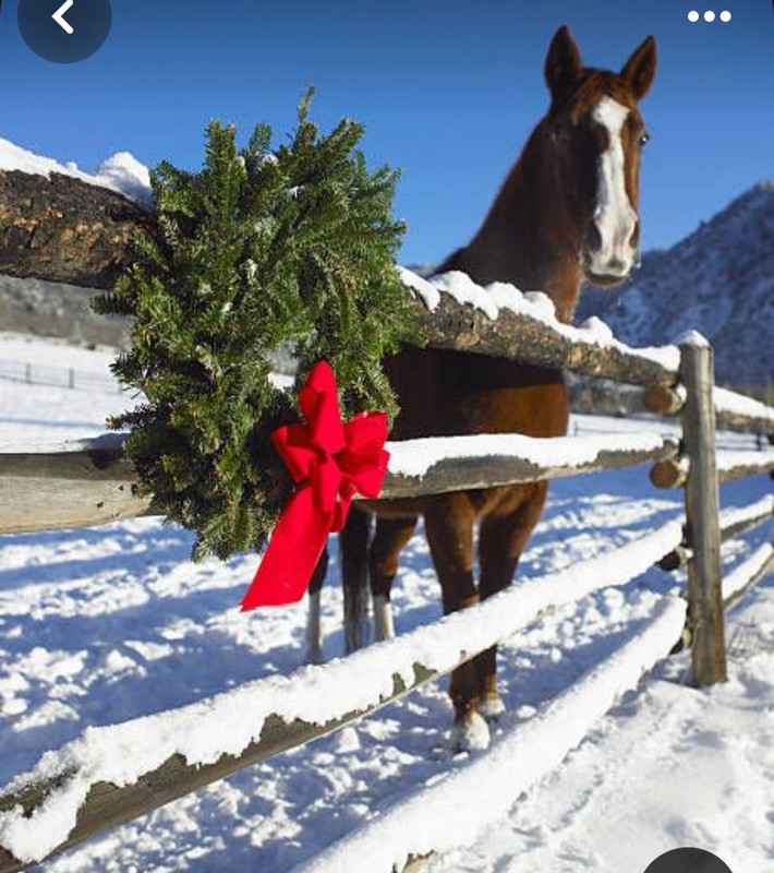 Screenshot_20240113_152804_Pinterest