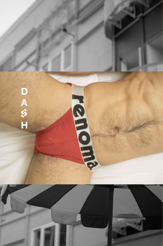Dash 05 (13)
