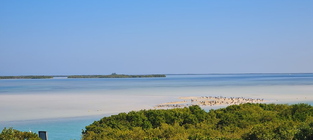 De cuando Riviera Maya me robó el corazón - Blogs de Mexico - Holbox: Yalahau-Isla Pasión-Punta Mosquito y Punta Coco (10)