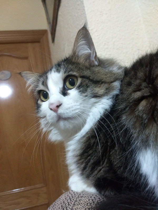 IMG_20210216_233510087