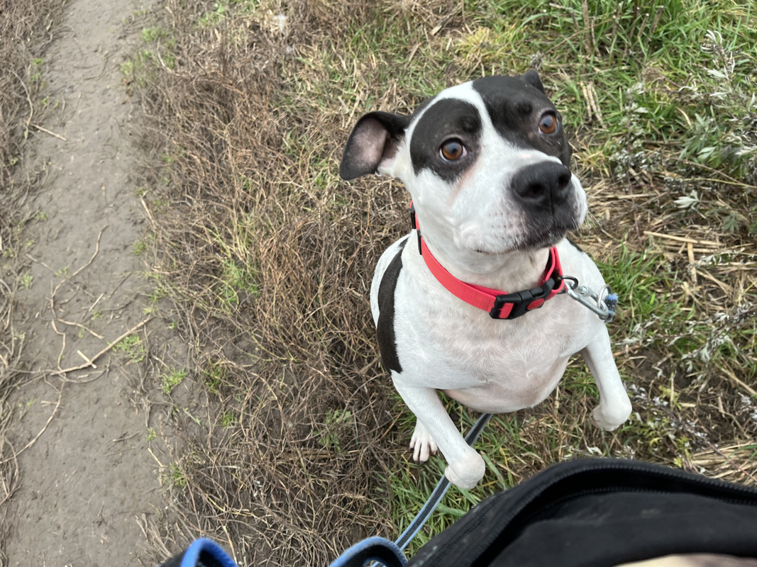 F4221C33-7E70-4AE3-9E3B-5646989A295C