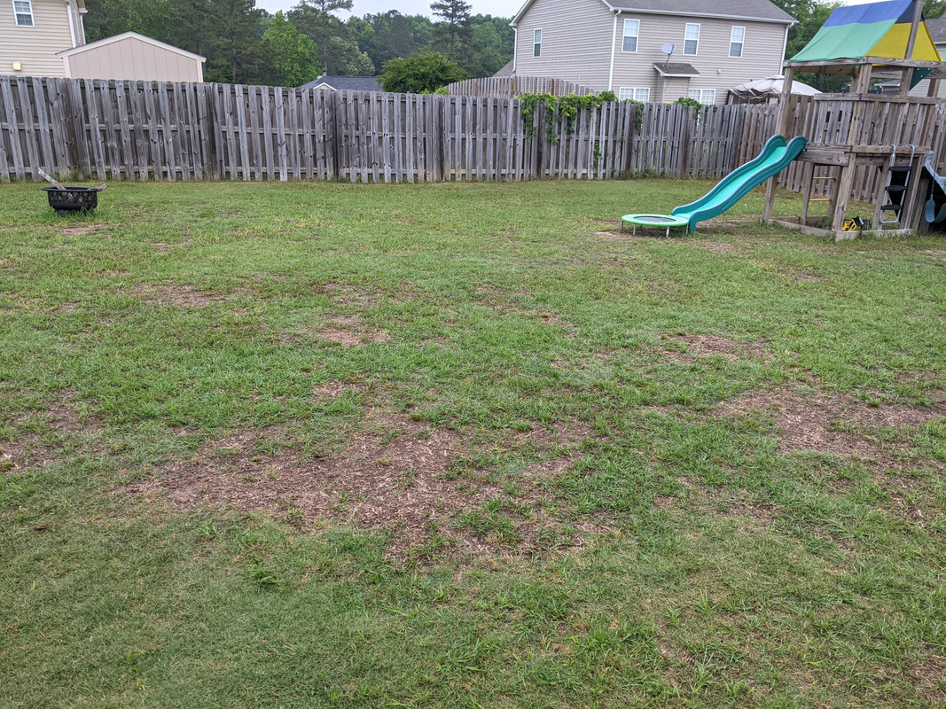 PXL_20210511_111900104