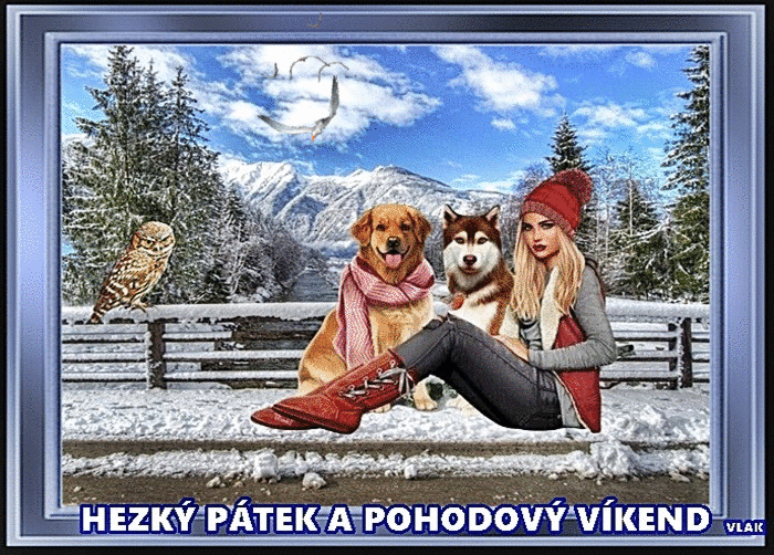 28-2-P.gif