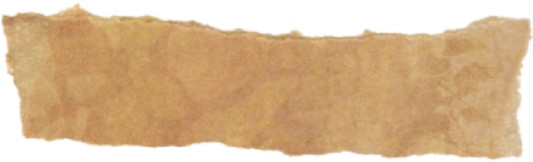 1e6295978abd292d3f303abfa9fa8288 (1)