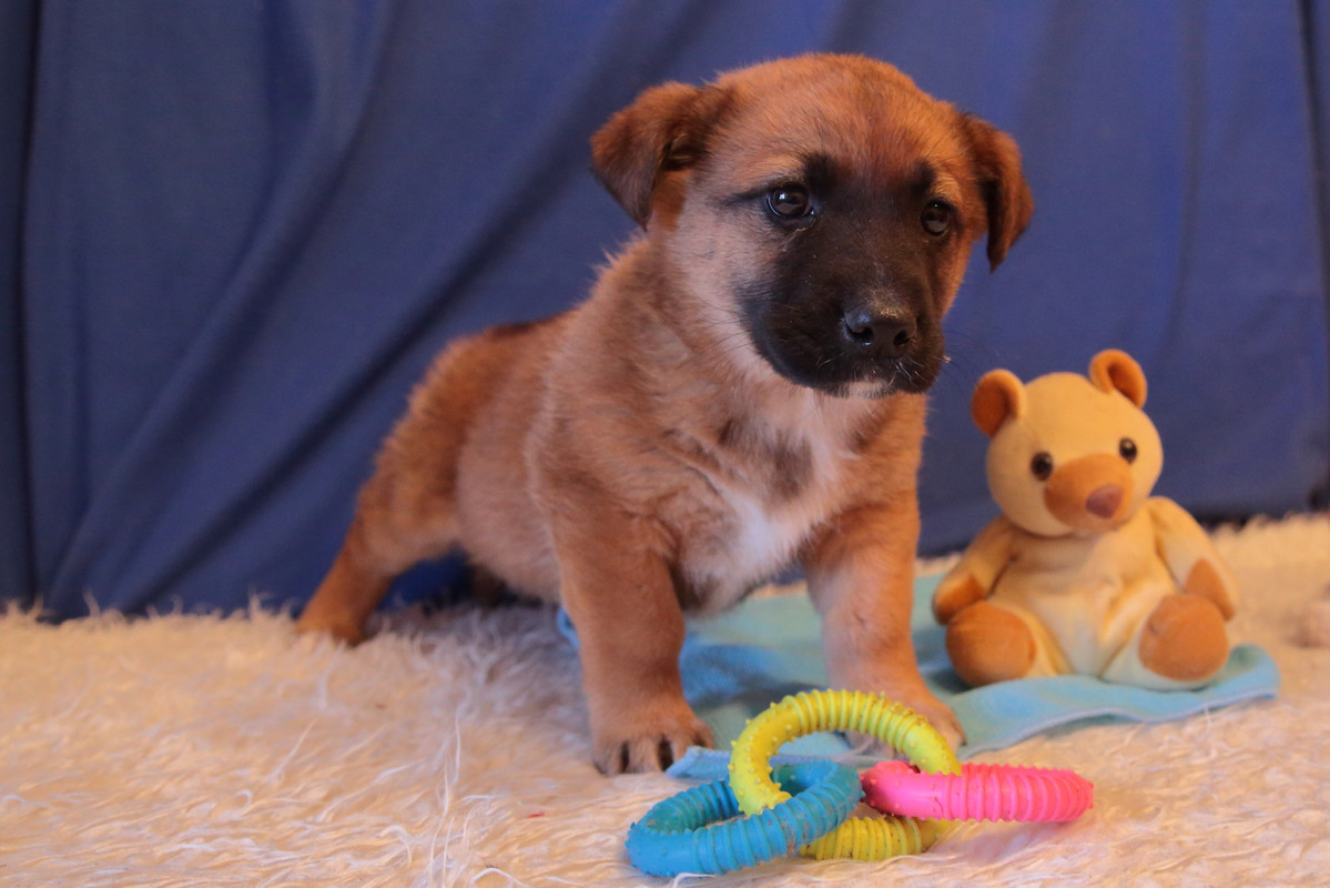 2D55B808-EC45-454D-AA56-84B534F1BB12