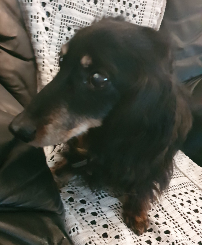 [Image: 20220716-172643.jpg]