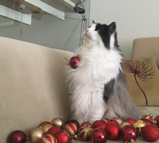 0-F0-B9-DB6-9-F3-F-4-E3-D-854-A-42-E0-D5