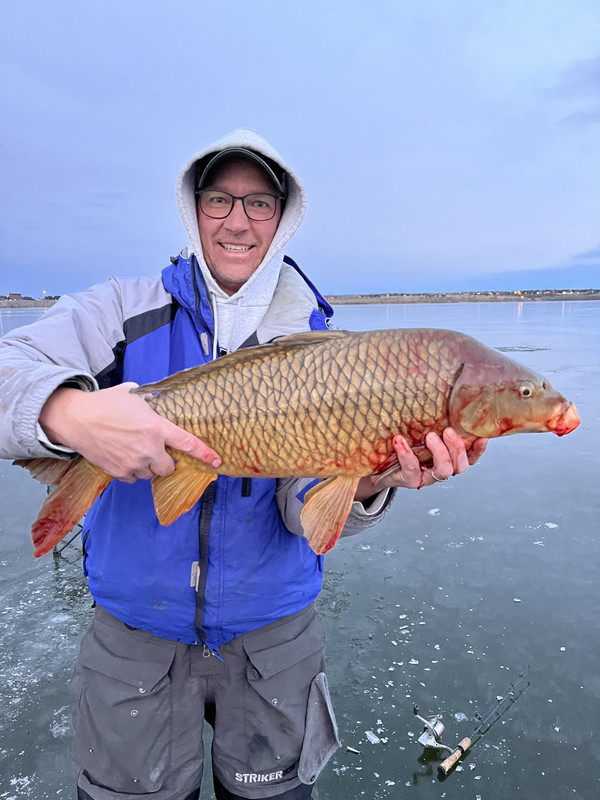 Carp