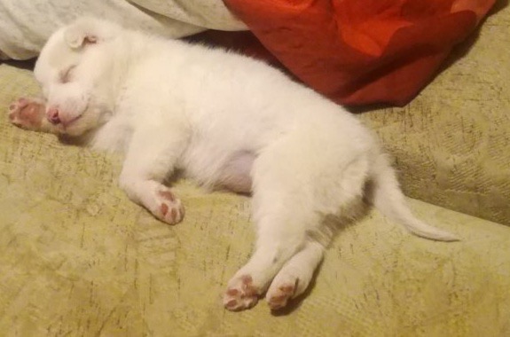 B3D24720-D0E5-4CE7-84EA-30AD52E391E8