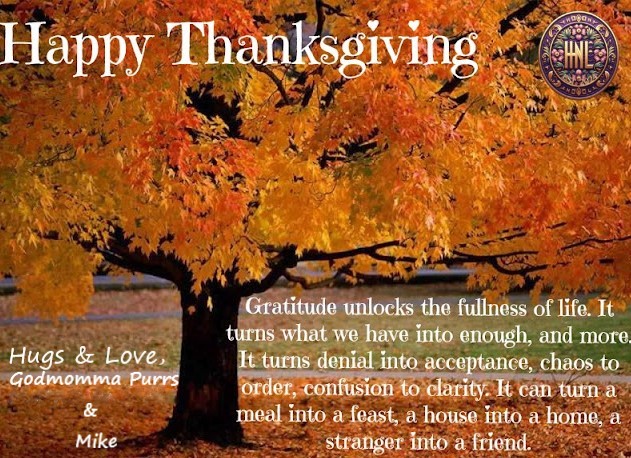 luv-thanksgiving