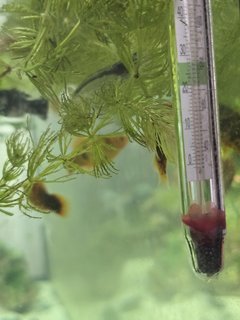 17392873450806551438364814258969