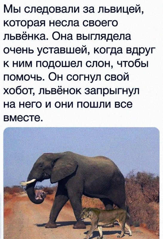 [Изображение: 16c3f0d9706d60445c3482e28b7bbd70.jpg]