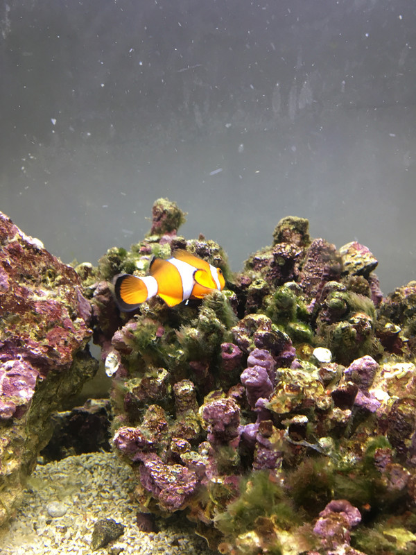 E4E84D6A-F9E4-4304-9C5C-91D44CBB42BC