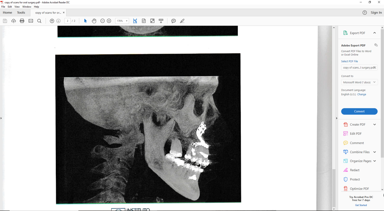 pics of scans -x-rays 4