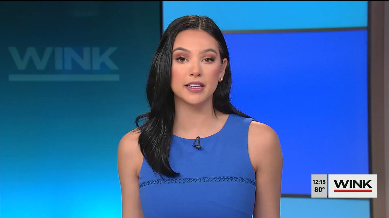 The WINK Noon News 2022_03_15_16_00_00.ts_snapshot_22.01.642