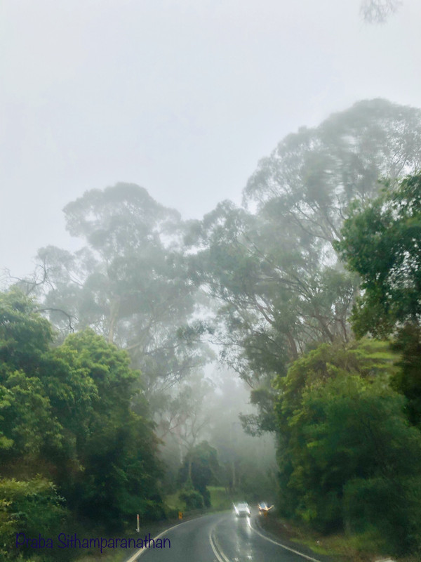 ABE55864-24-F2-4-F75-8037-A94-FEB4-D48-B