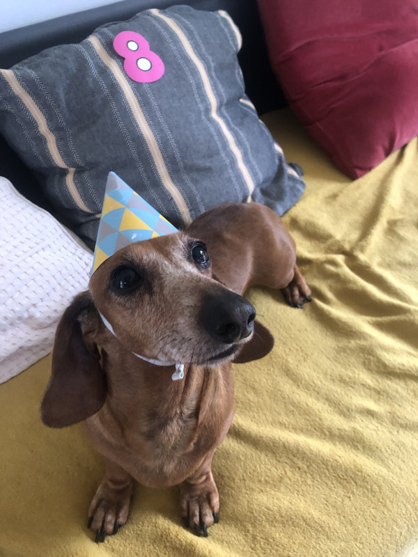 [Image: IMG-3449.jpg]