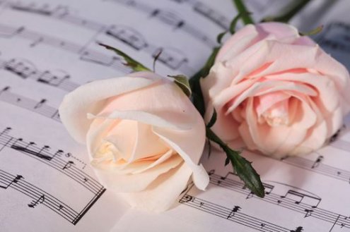 roses1.jpg