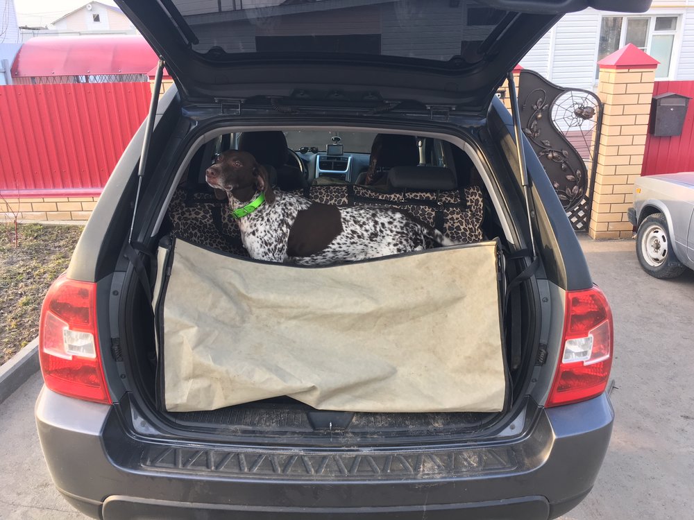 киа спортейдж 1