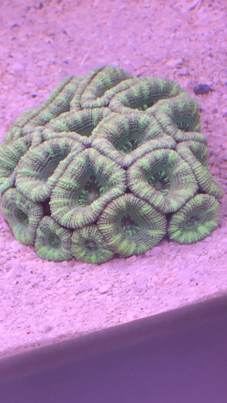 EBA8D599-17D8-4320-8FB5-272BA57CB147