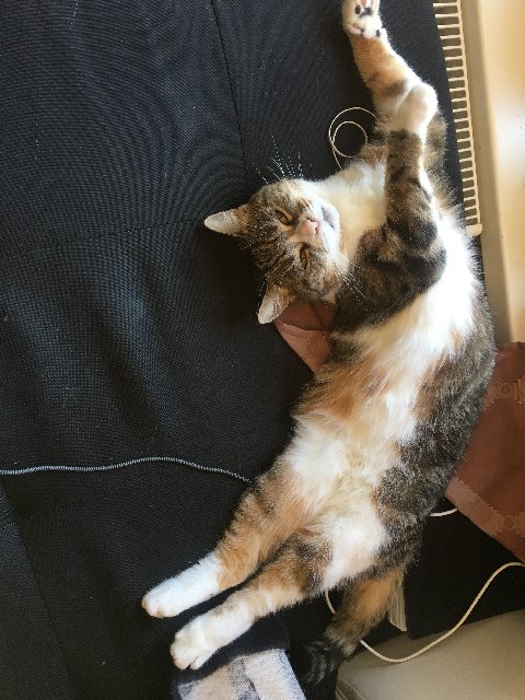 E0-B42992-3-E00-4-C47-BC12-BB92-C016-E34