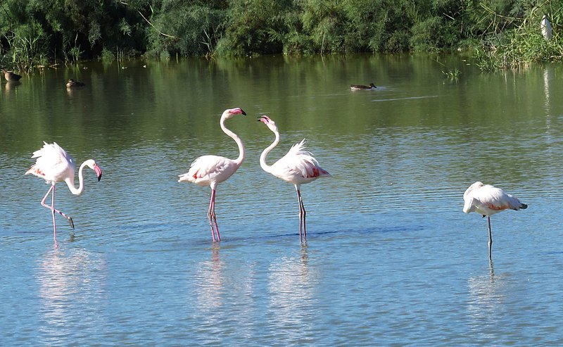 WhatsApp Image 2025-10-07 at 19.31.48_6431dfbf