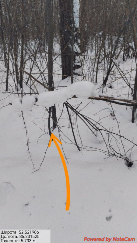 22й
